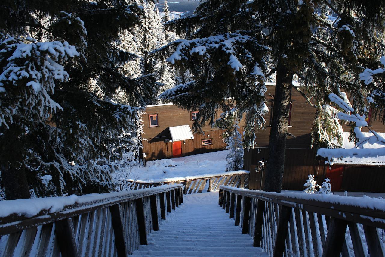 Alpinhytter Kvitfjellvegen 492 Lodge Kvitfjell