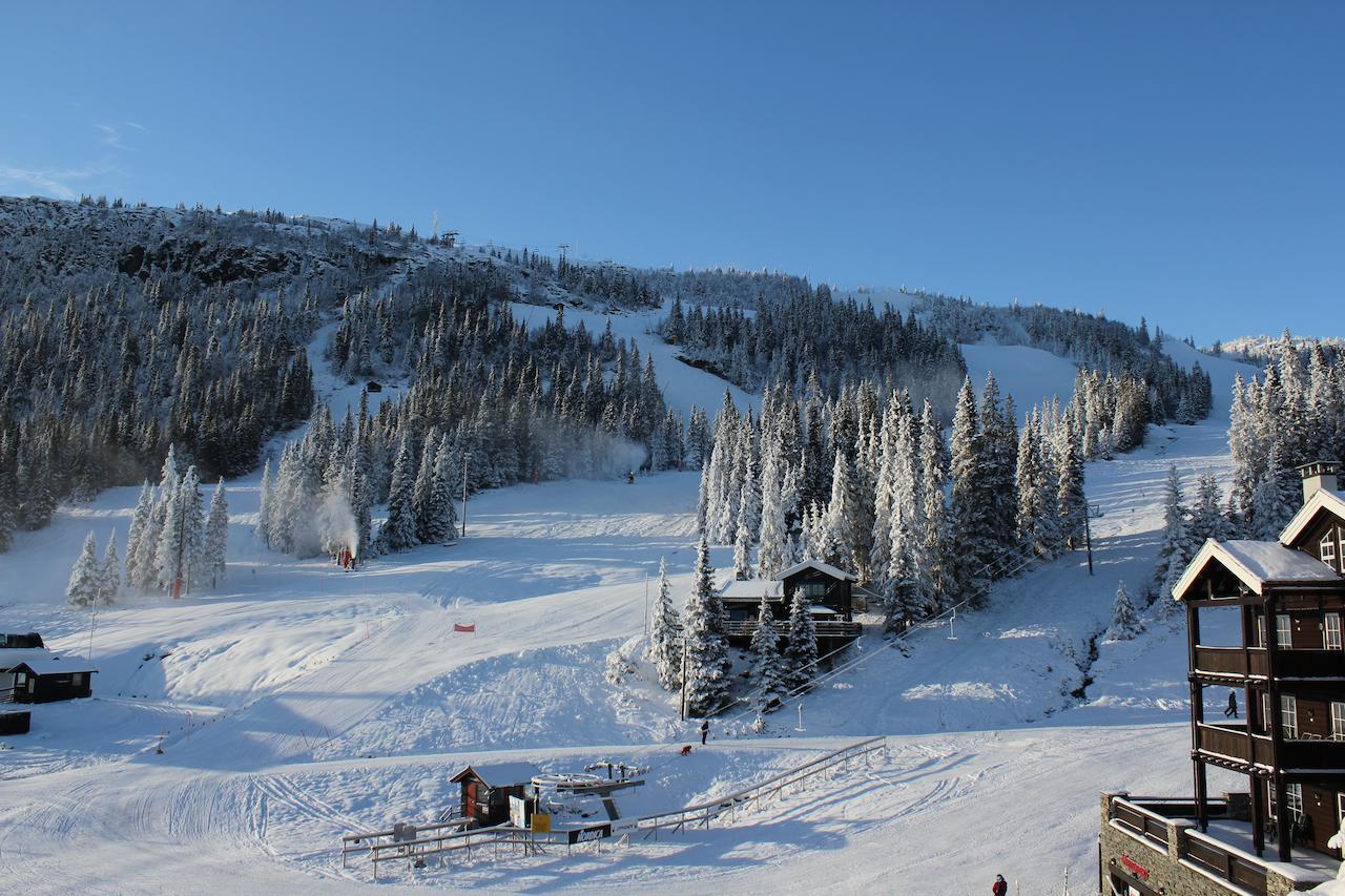 Lodge Alpinhytter Kvitfjellvegen 492
